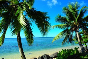 Hawaiian Scene